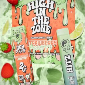 Hitz strawberry Mojito Disposable