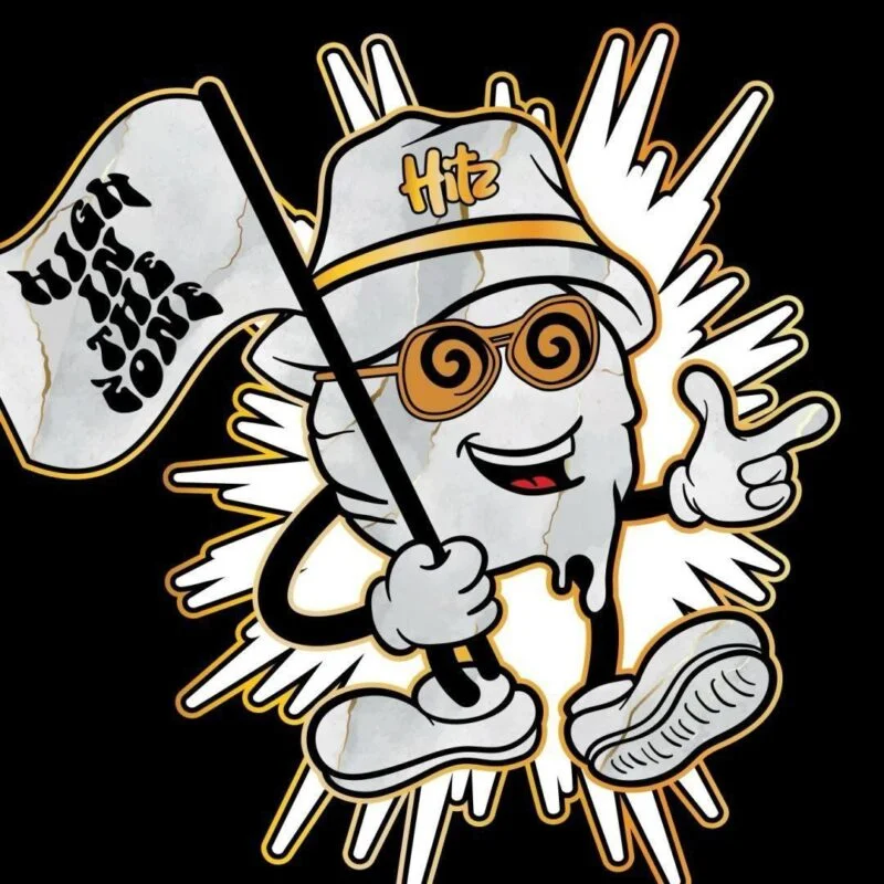 Hitz Disposable Premium